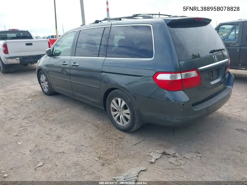 2005 HONDA ODYSSEY VIN 5FNRL38895B078828 — фото 3