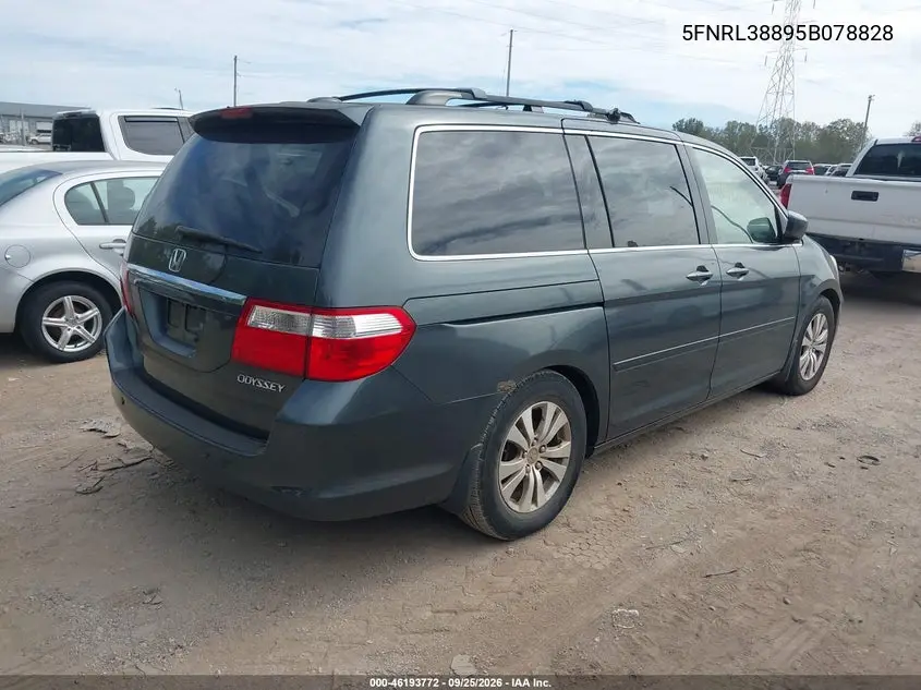 2005 HONDA ODYSSEY VIN 5FNRL38895B078828 — фото 4