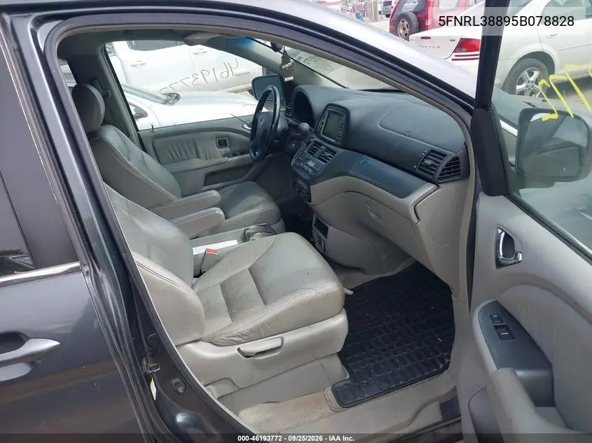 2005 HONDA ODYSSEY VIN 5FNRL38895B078828 — фото 5