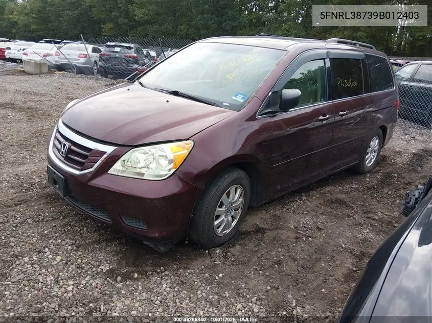 2009 HONDA ODYSSEY VIN 5FNRL38739B012403 — фото 2