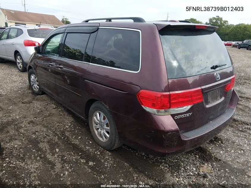 2009 HONDA ODYSSEY VIN 5FNRL38739B012403 — фото 3