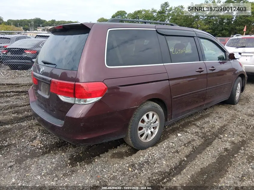 2009 HONDA ODYSSEY VIN 5FNRL38739B012403 — фото 4
