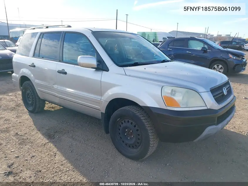 HONDA PILOT 2005, VIN 5FNYF18575B061099