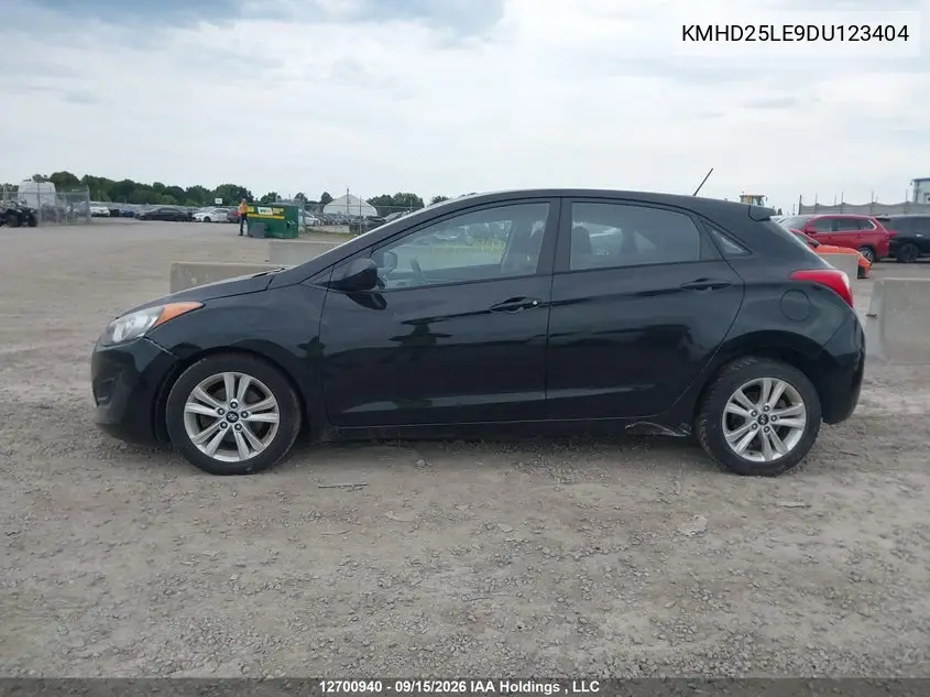 2013 HYUNDAI ELANTRA VIN KMHD25LE9DU123404 — фото 13