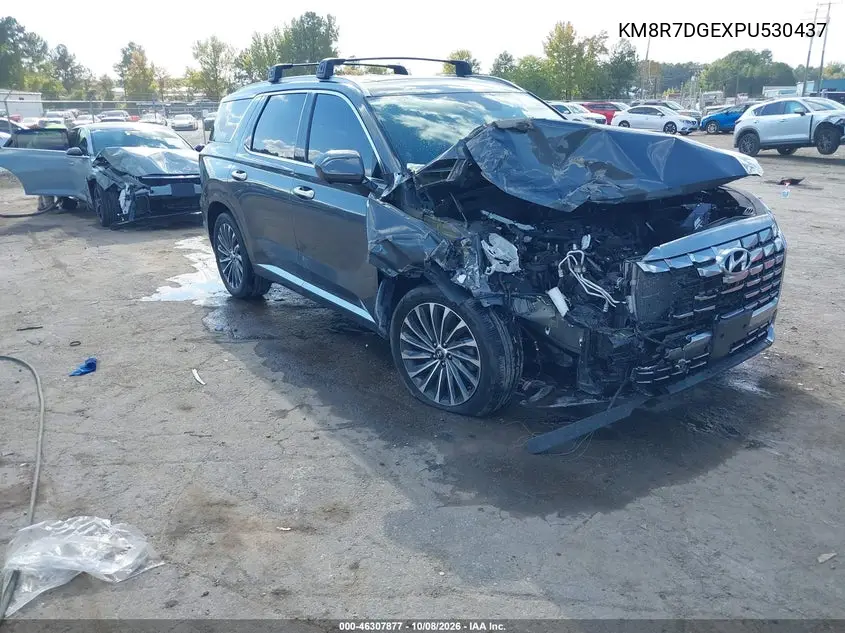 HYUNDAI PALISADE 2023, VIN KM8R7DGEXPU530437
