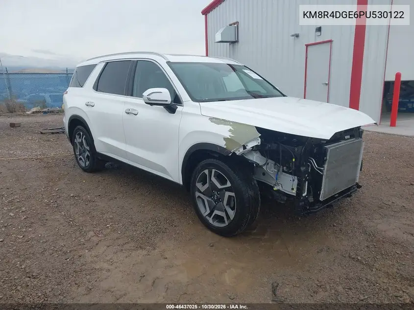 HYUNDAI PALISADE 2023, VIN KM8R4DGE6PU530122