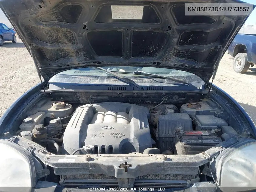2004 HYUNDAI SANTA FE VIN KM8SB73D44U773557 — фото 10