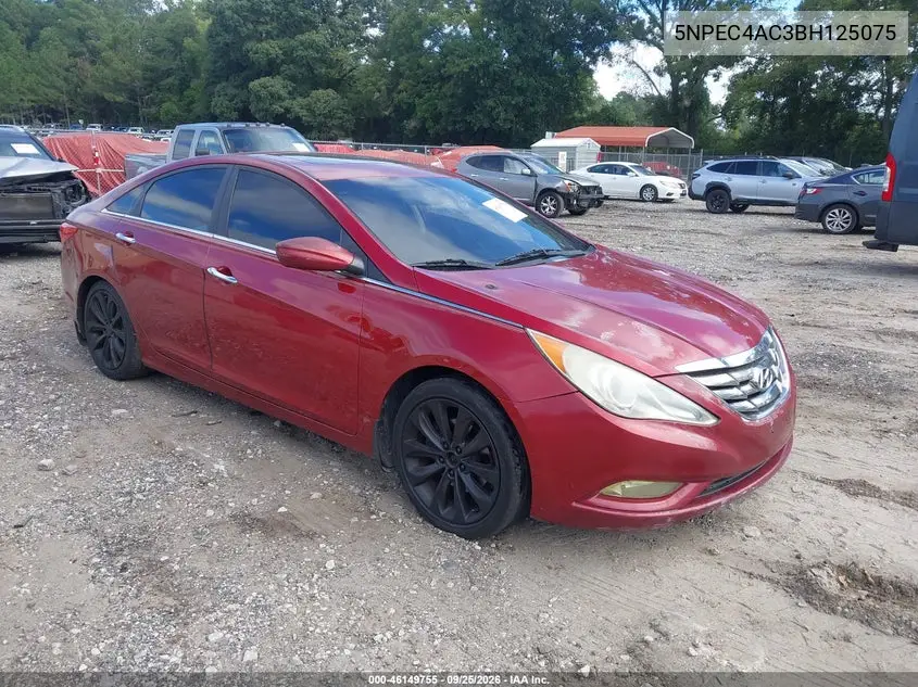 HYUNDAI SONATA 2011, VIN 5NPEC4AC3BH125075
