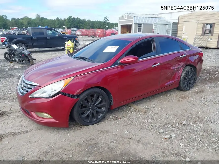 2011 HYUNDAI SONATA VIN 5NPEC4AC3BH125075 — фото 2