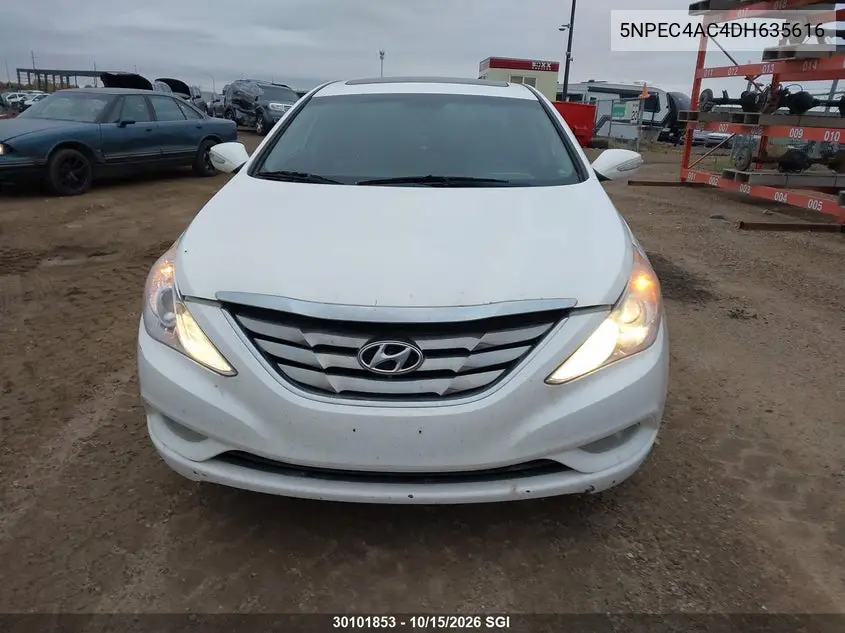 2013 HYUNDAI SONATA VIN 5NPEC4AC4DH635616 — фото 13