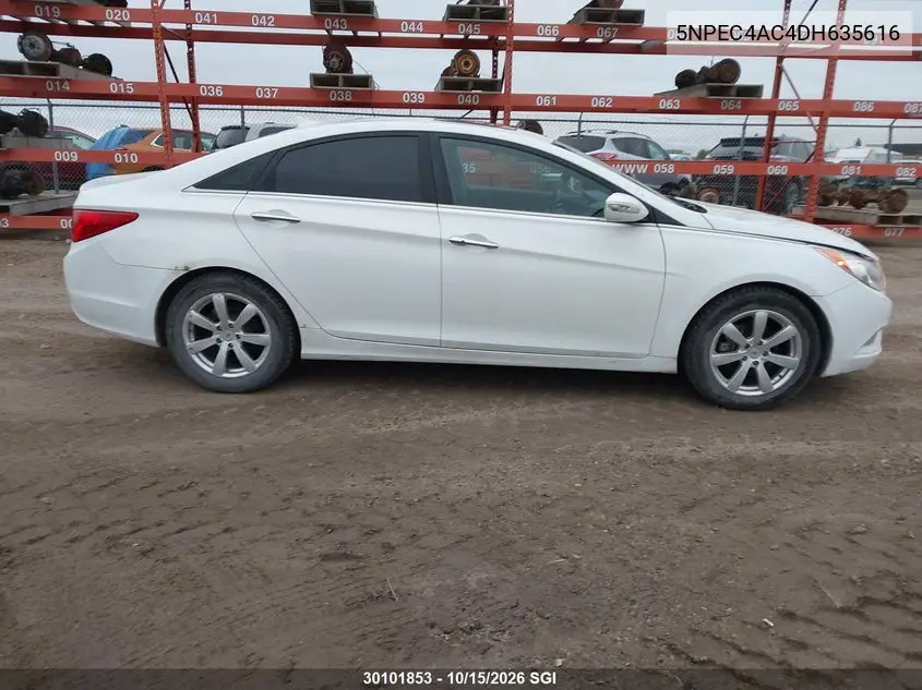 2013 HYUNDAI SONATA VIN 5NPEC4AC4DH635616 — фото 14