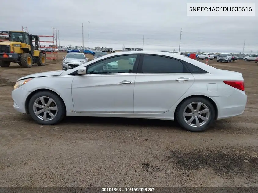 2013 HYUNDAI SONATA VIN 5NPEC4AC4DH635616 — фото 15