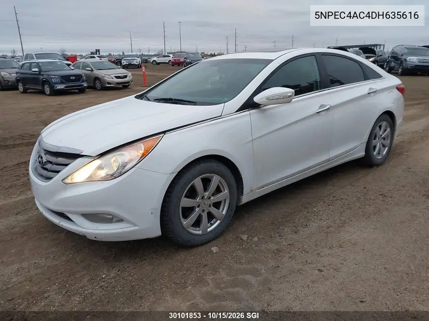 2013 HYUNDAI SONATA VIN 5NPEC4AC4DH635616 — фото 2