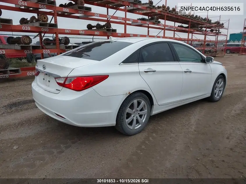 2013 HYUNDAI SONATA VIN 5NPEC4AC4DH635616 — фото 4