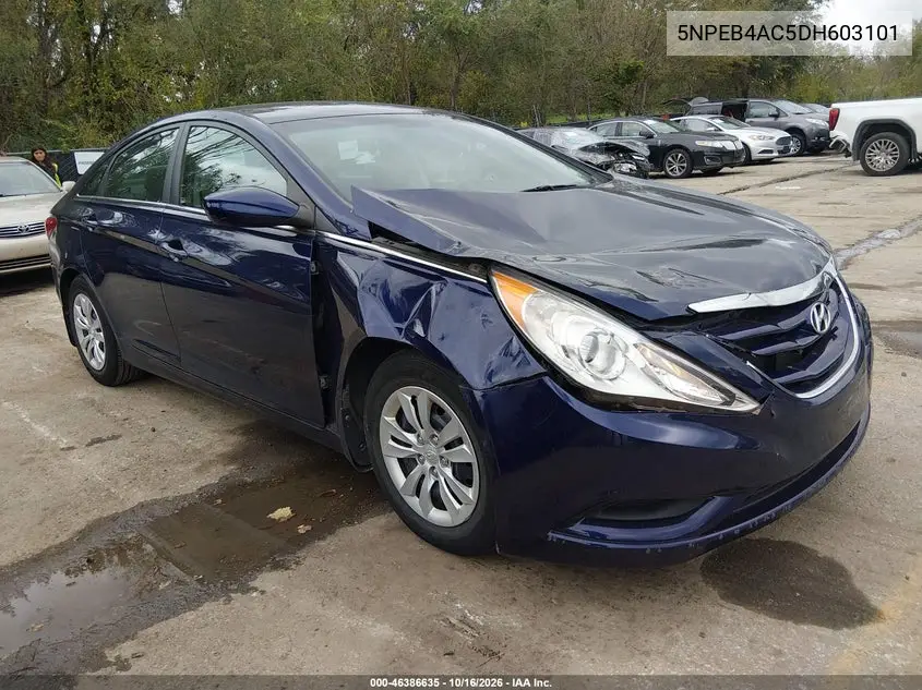 HYUNDAI SONATA 2013, VIN 5NPEB4AC5DH603101