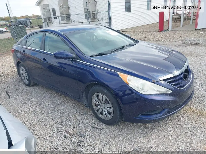 HYUNDAI SONATA 2013, VIN 5NPEB4AC3DH602075