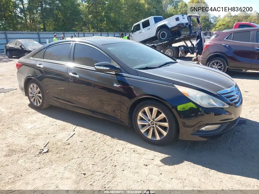 HYUNDAI SONATA 2014, VIN 5NPEC4AC1EH836200