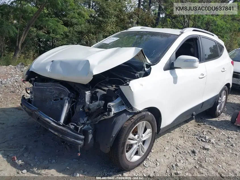 2013 HYUNDAI TUCSON VIN KM8JU3AC0DU637841 — фото 2