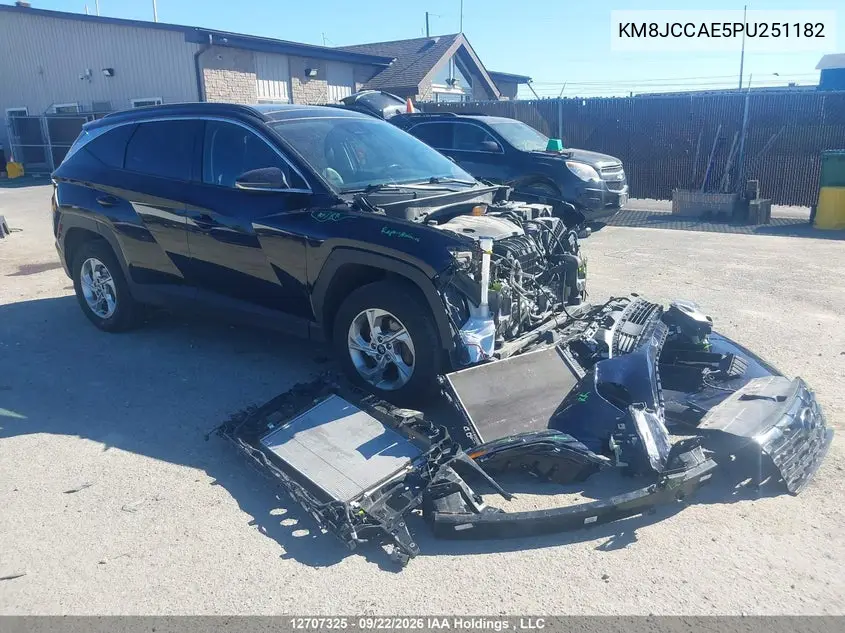 2023 HYUNDAI TUCSON VIN KM8JCCAE5PU251182 — фото 4