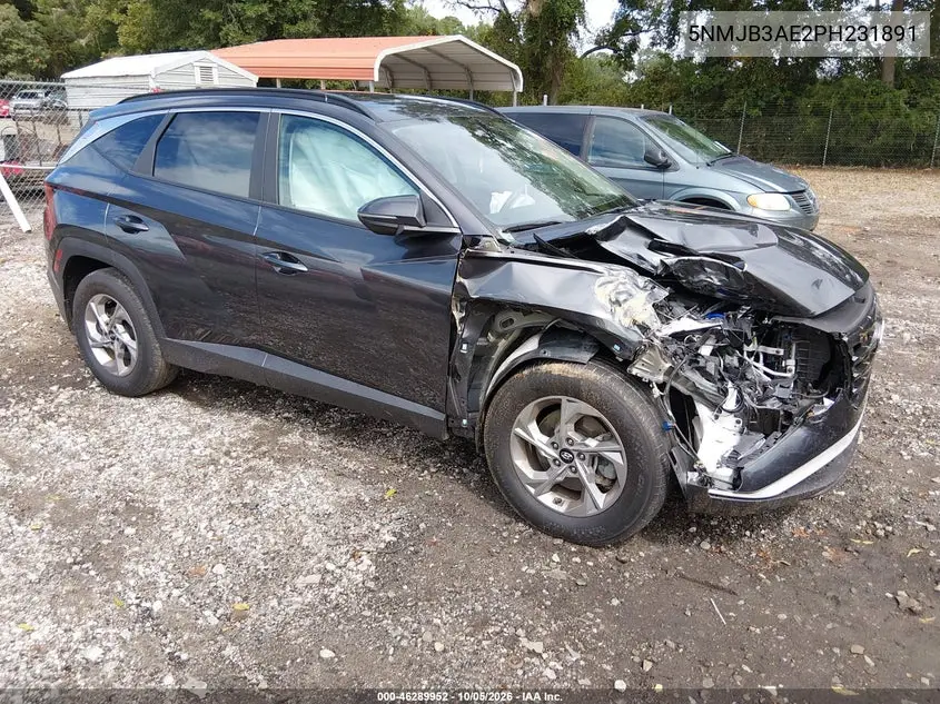 HYUNDAI TUCSON 2023, VIN 5NMJB3AE2PH231891