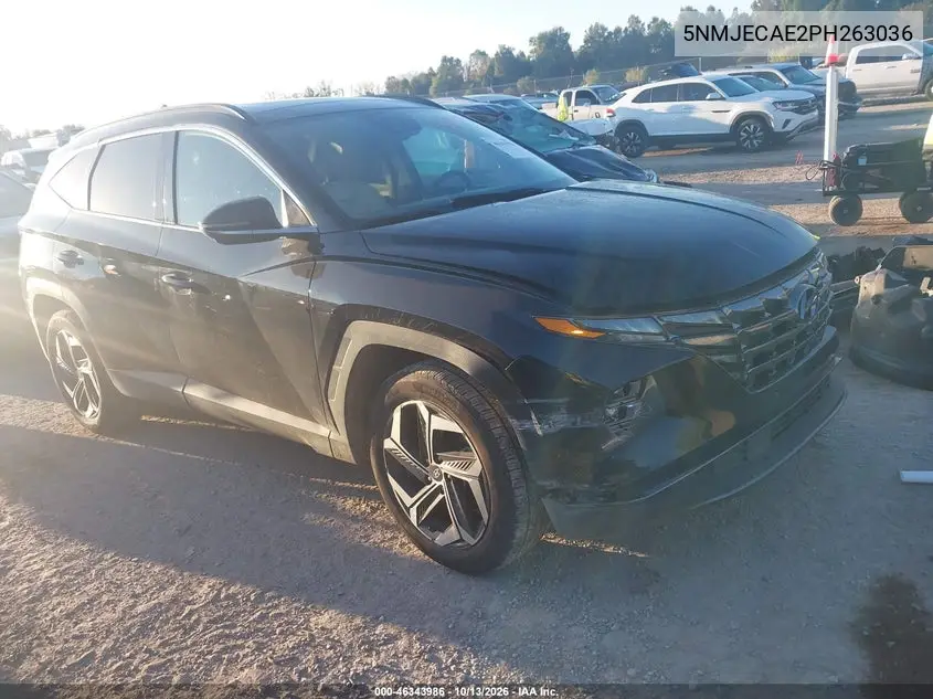 HYUNDAI TUCSON 2023, VIN 5NMJECAE2PH263036