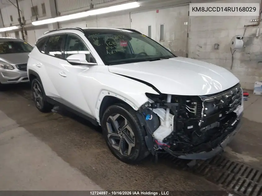 HYUNDAI TUCSON 2024, VIN KM8JCCD14RU168029