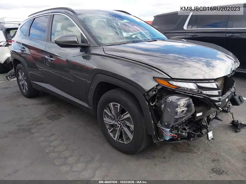 HYUNDAI TUCSON 2024, VIN KM8JBCD16RU202023