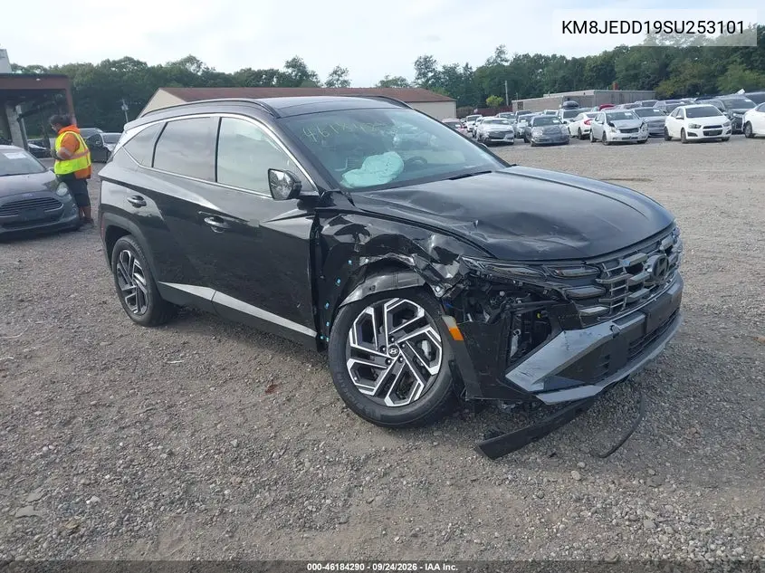 HYUNDAI TUCSON 2025, VIN KM8JEDD19SU253101