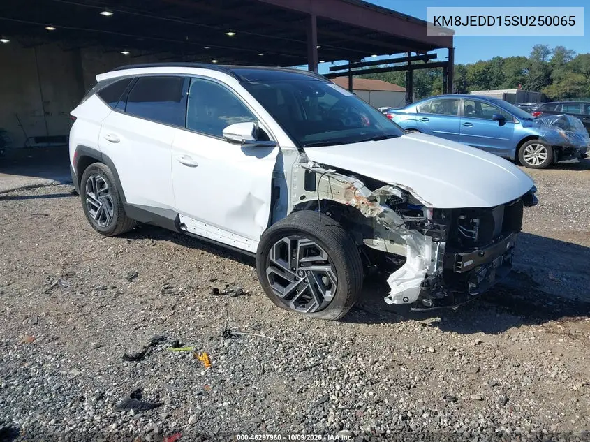HYUNDAI TUCSON 2025, VIN KM8JEDD15SU250065