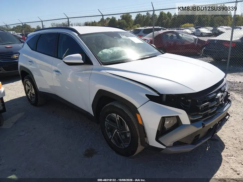 HYUNDAI TUCSON 2025, VIN KM8JBDD12SU390339