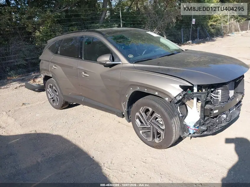 HYUNDAI TUCSON 2026, VIN KM8JEDD12TU404295
