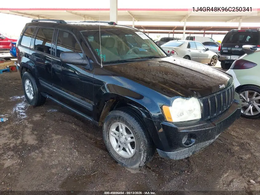 JEEP GRAND CHEROKEE 2006, VIN 1J4GR48K96C250341