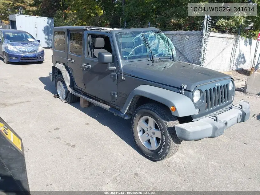 JEEP WRANGLER 2016, VIN 1C4HJWDG2GL341614