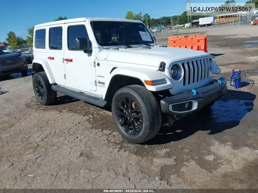 JEEP WRANGLER 2023, VIN 1C4JJXP69PW525067