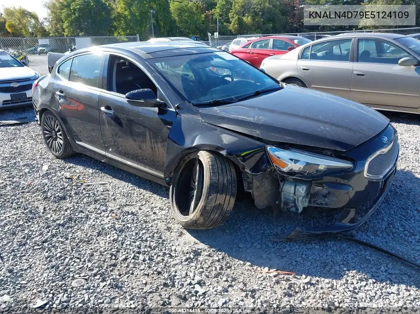 KIA CADENZA 2014, VIN KNALN4D79E5124109
