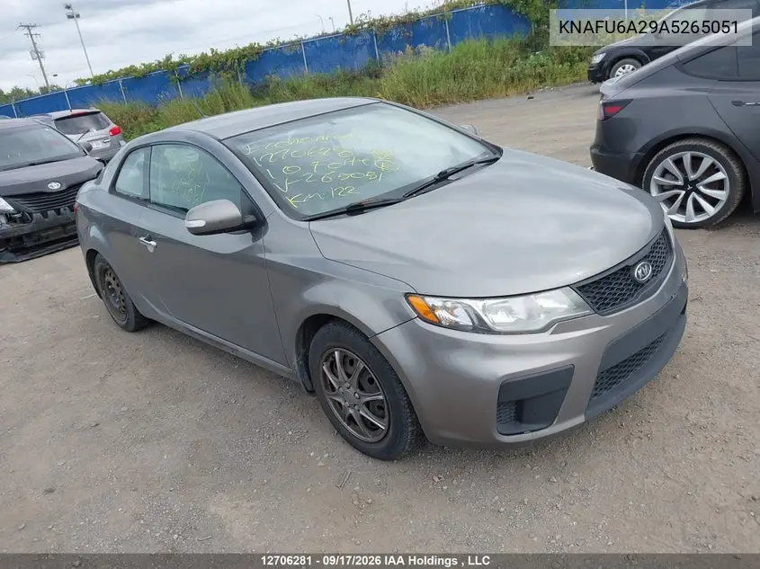 KIA FORTE 2010, VIN KNAFU6A29A5265051