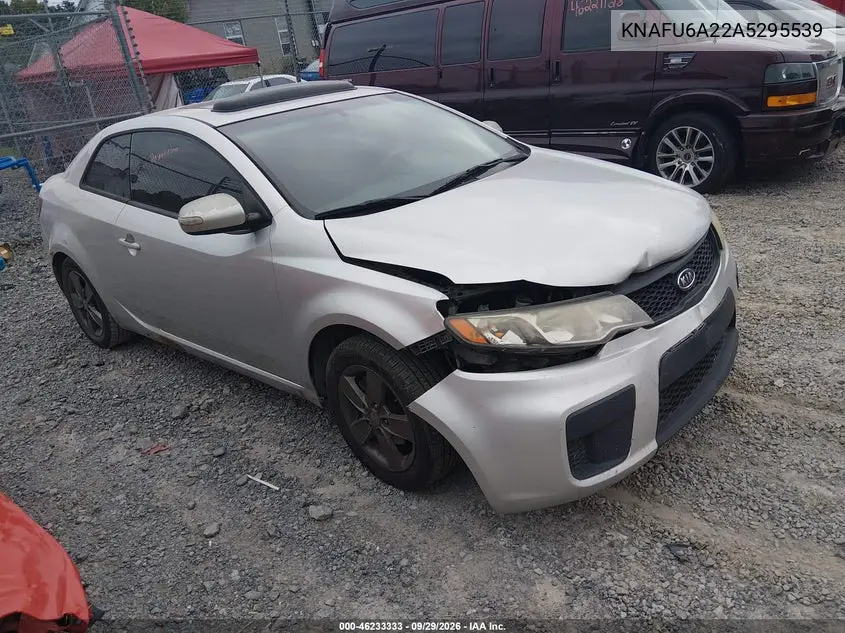 KIA FORTE 2010, VIN KNAFU6A22A5295539