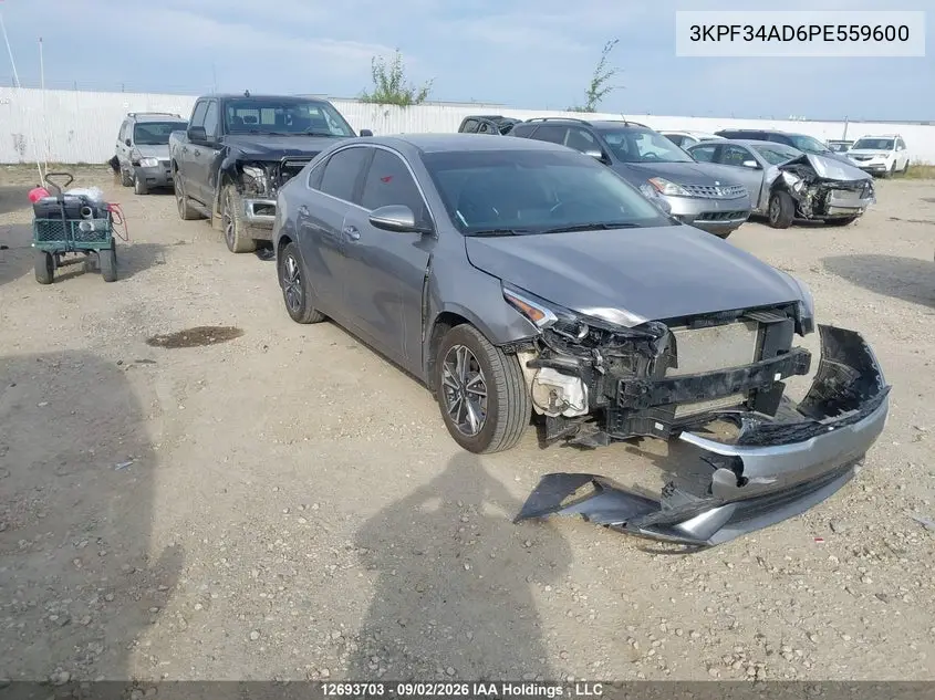 KIA FORTE 2023, VIN 3KPF34AD6PE559600