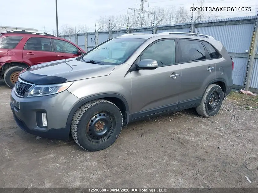  Sorento