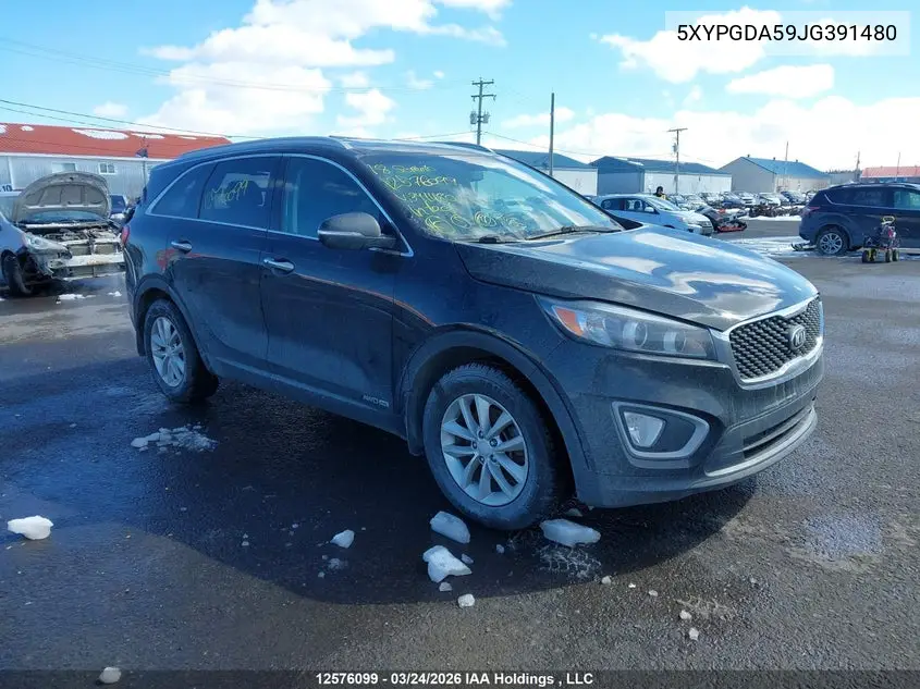  Sorento