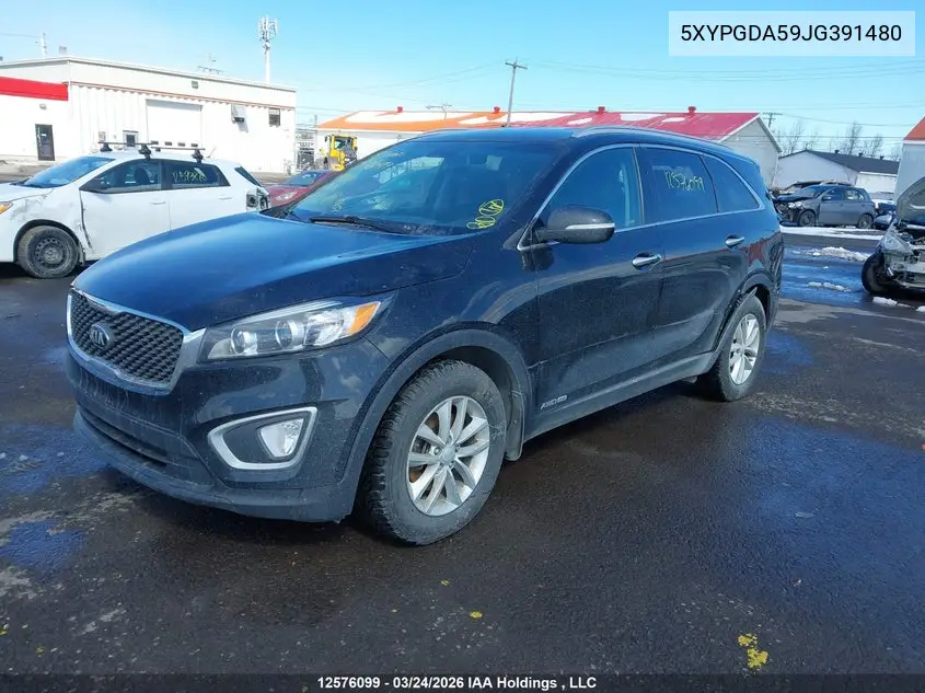  Sorento