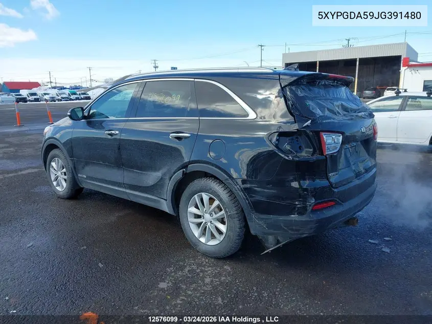  Sorento