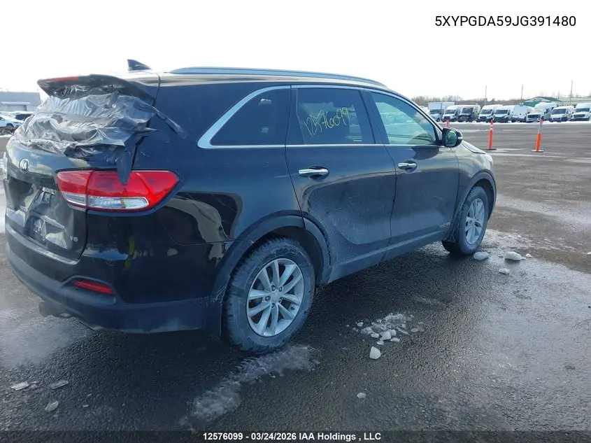  Sorento