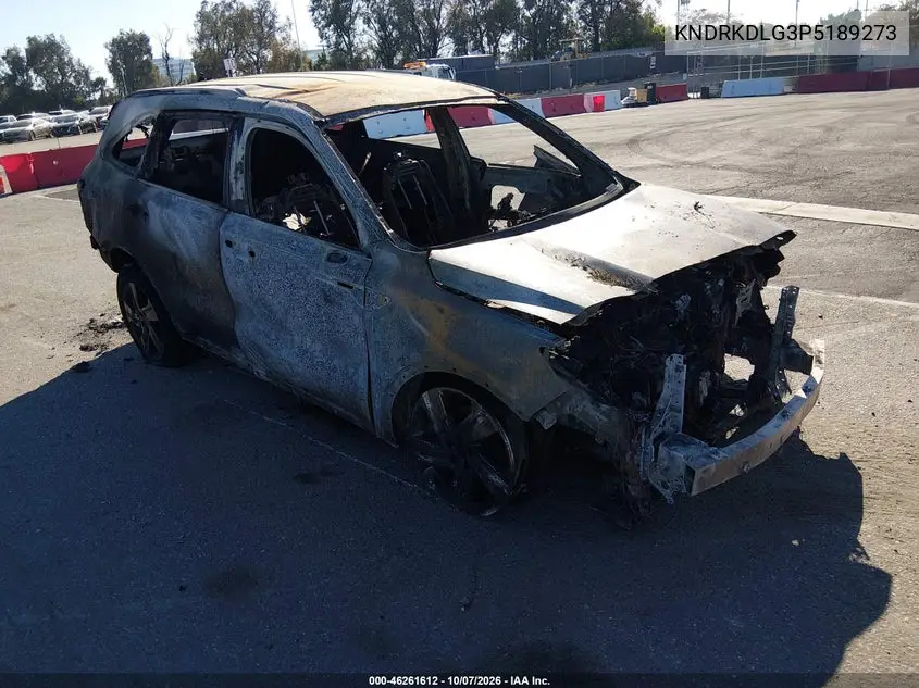 KIA SORENTO 2023, VIN KNDRKDLG3P5189273