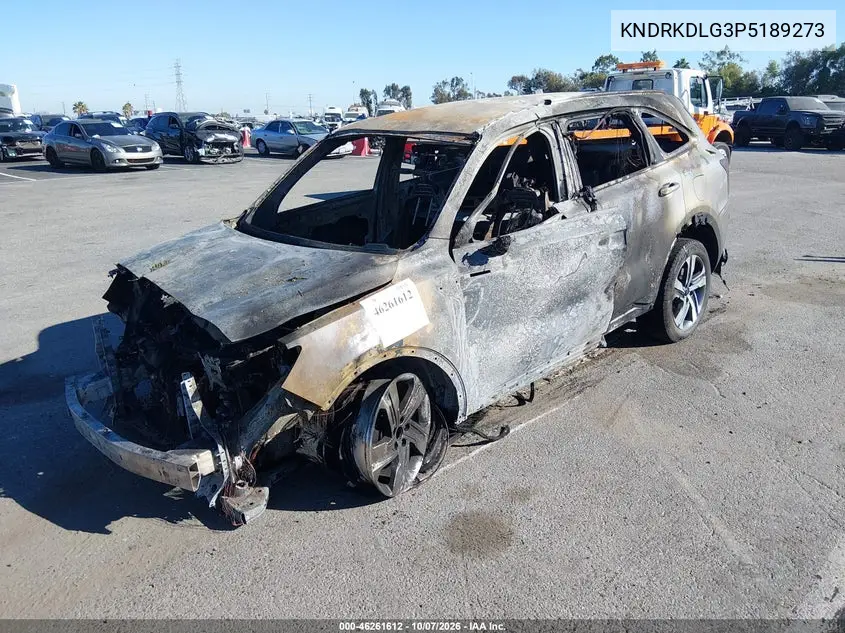 2023 KIA SORENTO VIN KNDRKDLG3P5189273 — фото 2