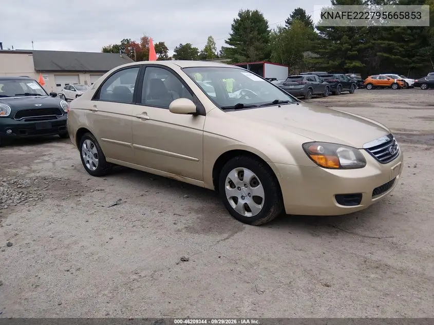 KIA SPECTRA 2009, VIN KNAFE222795665853