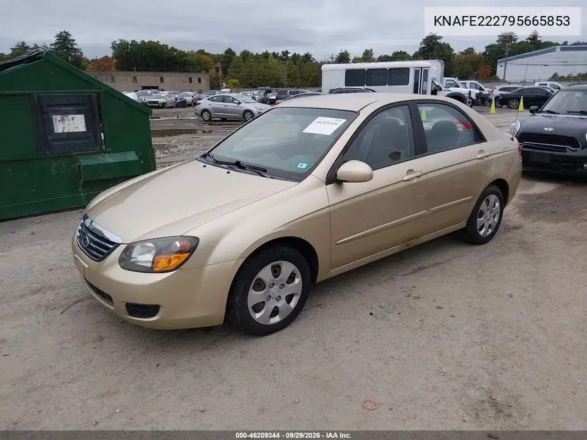 2009 KIA SPECTRA VIN KNAFE222795665853 — фото 2
