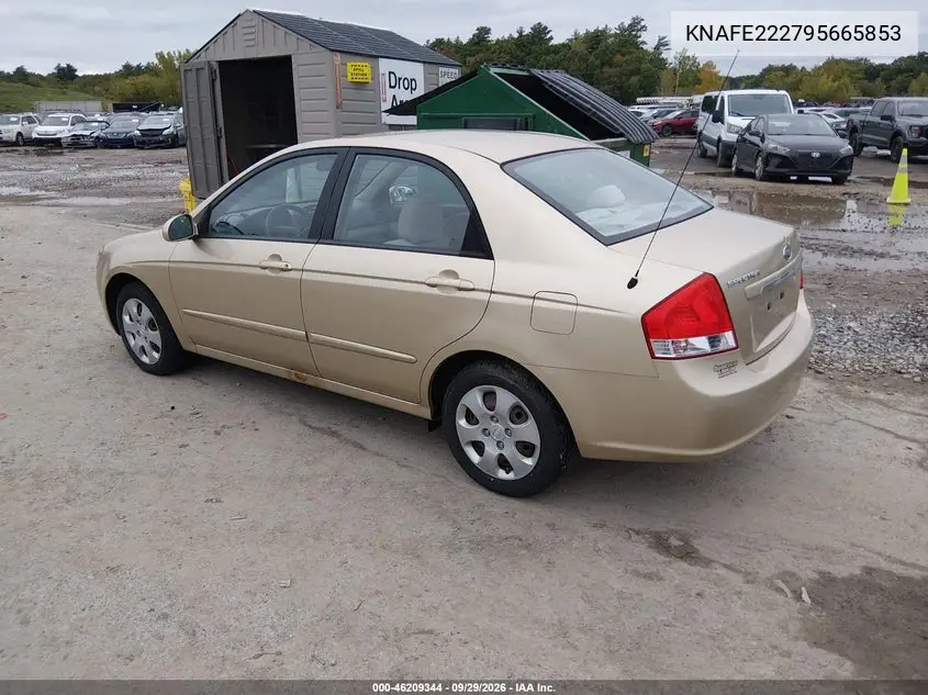 2009 KIA SPECTRA VIN KNAFE222795665853 — фото 3