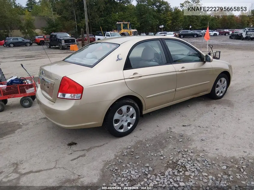 2009 KIA SPECTRA VIN KNAFE222795665853 — фото 4