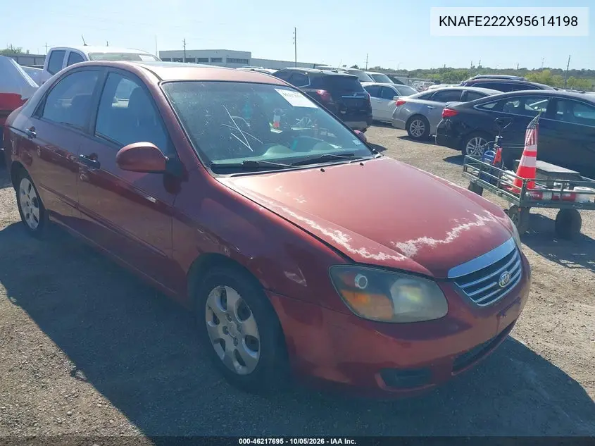 KIA SPECTRA 2009, VIN KNAFE222X95614198